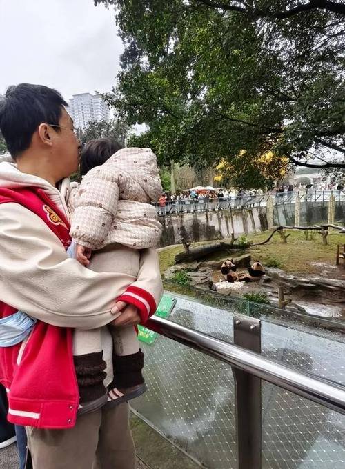 新2025澳门天天开好彩和爸爸带娃患产后抑郁与爸爸带娃患产后抑郁怎么办