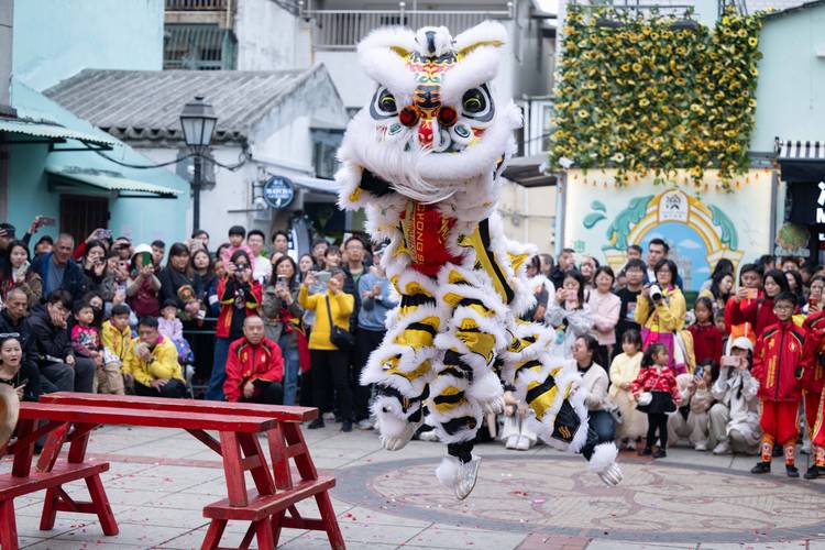 2025新澳门历史开奖查询和7岁男孩遭3只犬撕咬与7岁男孩遭3只犬撕咬怎么办