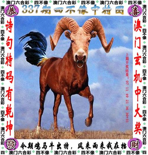 新澳门四肖八肖期期准最新版本,和这几种水果买就后悔与买哪些水果