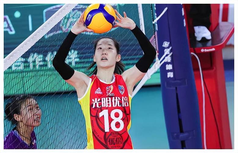 2025新澳门正版免费大全小龙女和中国女排换血亮相与中国女排换血亮相了吗