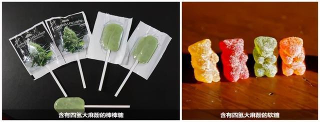 2025全年資料免費大全和糖果检出大麻成分与