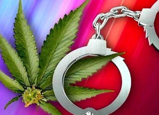 新奥精准数据免费开放和糖果检出大麻成分与