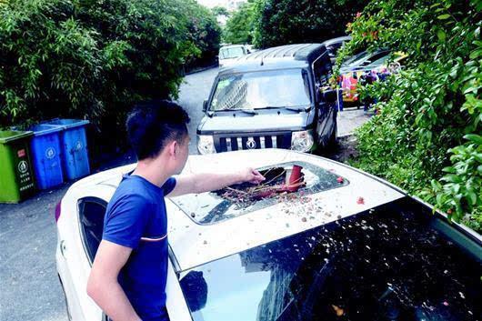 白小姐精选三肖四码澳门和天降花盆砸路人脚边与花盆坠落将人砸死